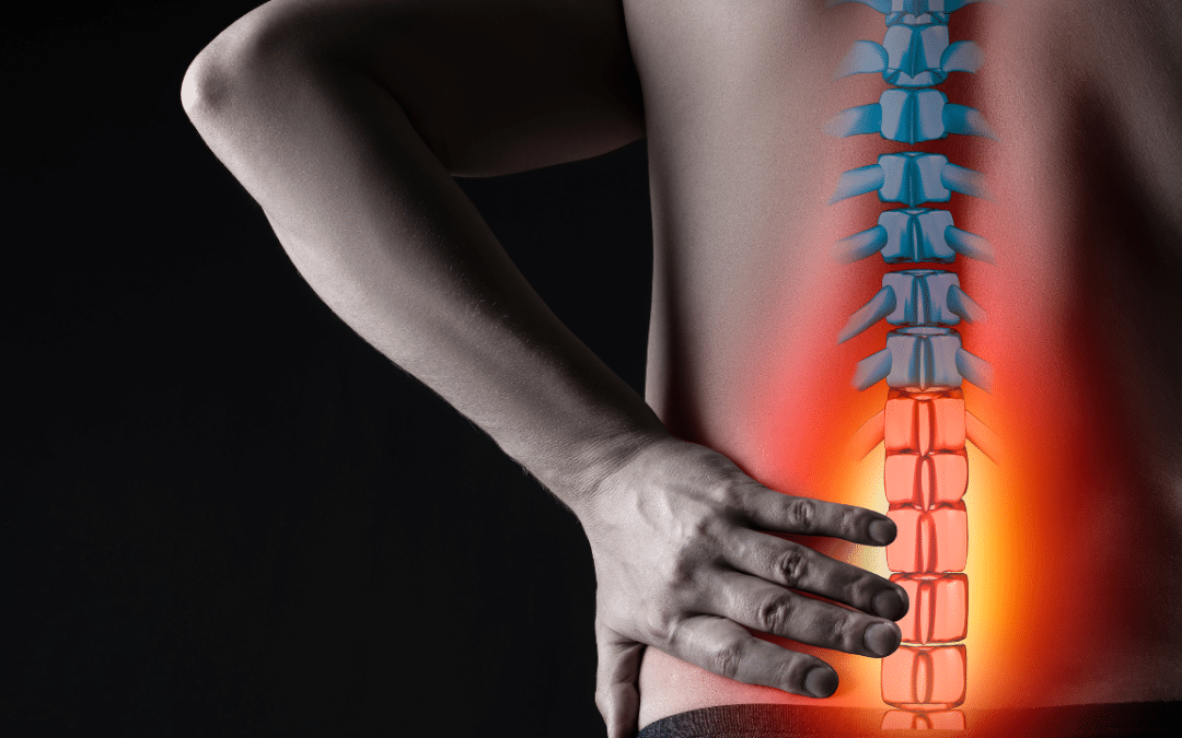 How Critical Is the Spinal Cord in Managing Your Body’s Nervous Operations?